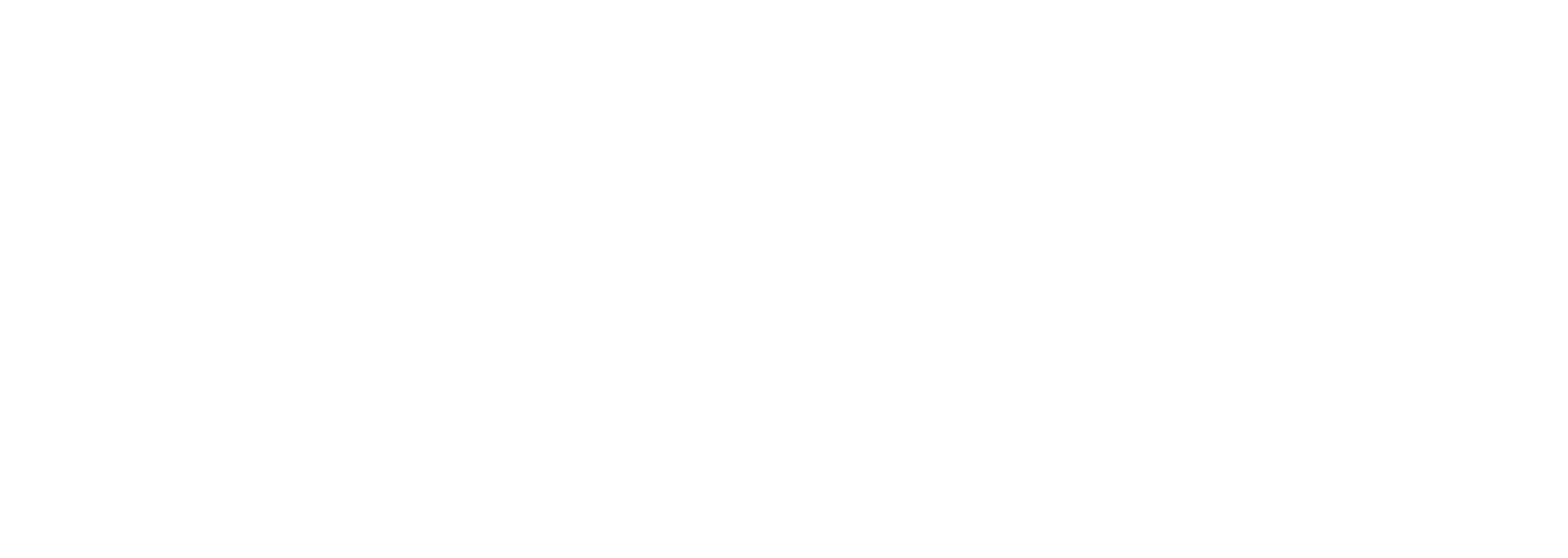 whilte logo 2020